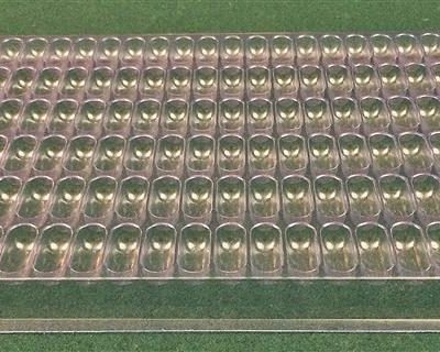 Cylindrical Cavity Clear Plastic Trays - 1.125 X .45 X .410