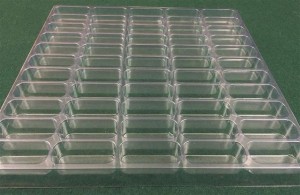 Rectangular Cavity Clear Plastic Trays - 2 X 0.75 X 0.75