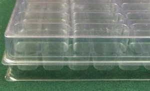 Rectangular Cavity Clear Plastic Trays - 2 X 0.75 X 0.75