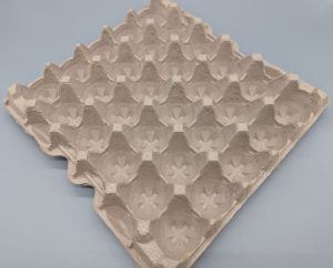 30 Cavity Egg Tray Angled View