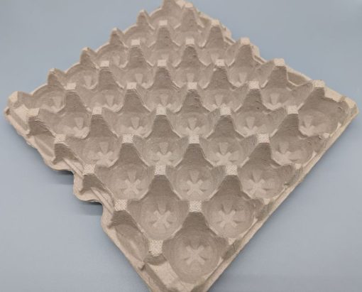 30 Cavity Egg Tray Angled View