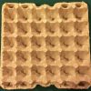30 Cavity Egg Tray
