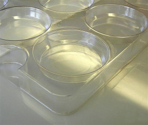 Clear Optical Cavity Trays